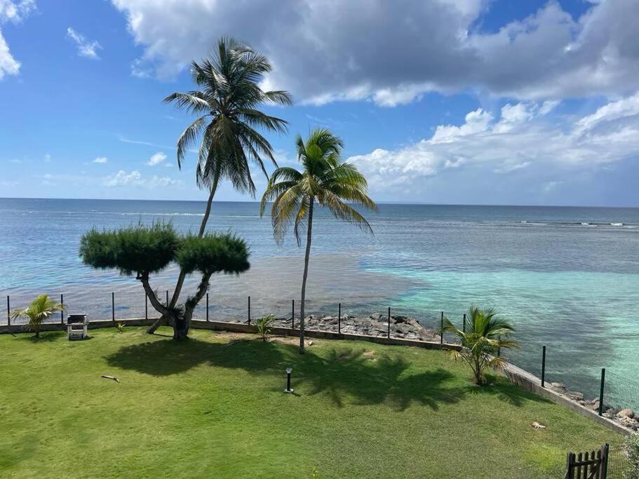 Ti Macloa - Appartement Les Pieds Dans L'Eau サンタンヌ エクステリア 写真